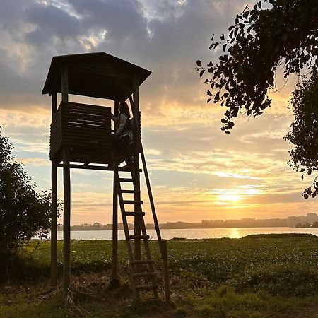 Casa Do Areal, Refugio Das Rotas Pedestres Em Mira 미라 외부 사진