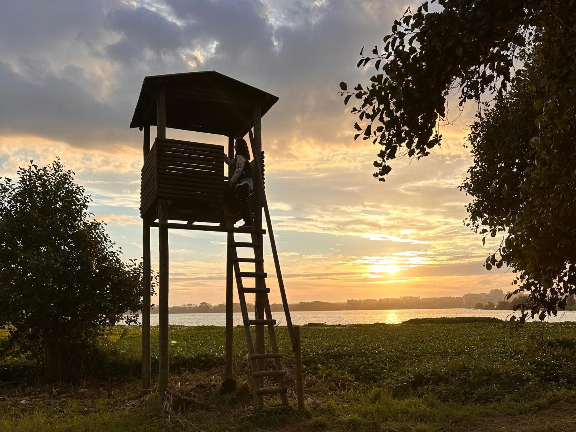 Casa Do Areal, Refugio Das Rotas Pedestres Em Mira 미라 외부 사진
